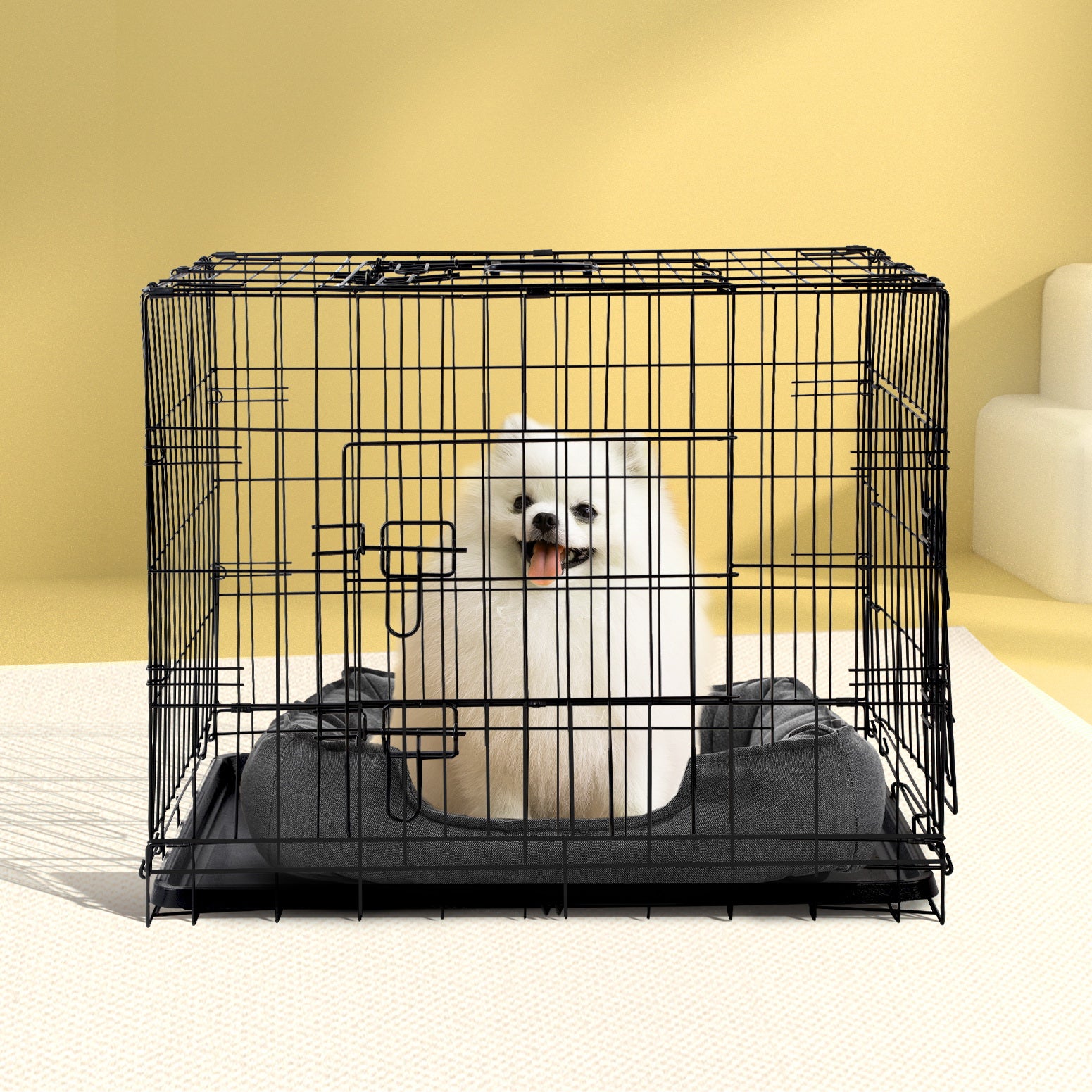 i.Pet 36