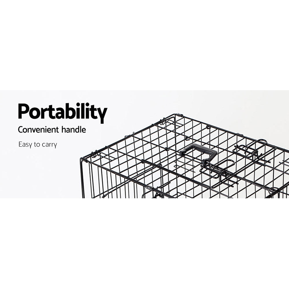 i.Pet 42