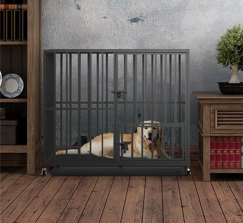 LOVE OUR PETS