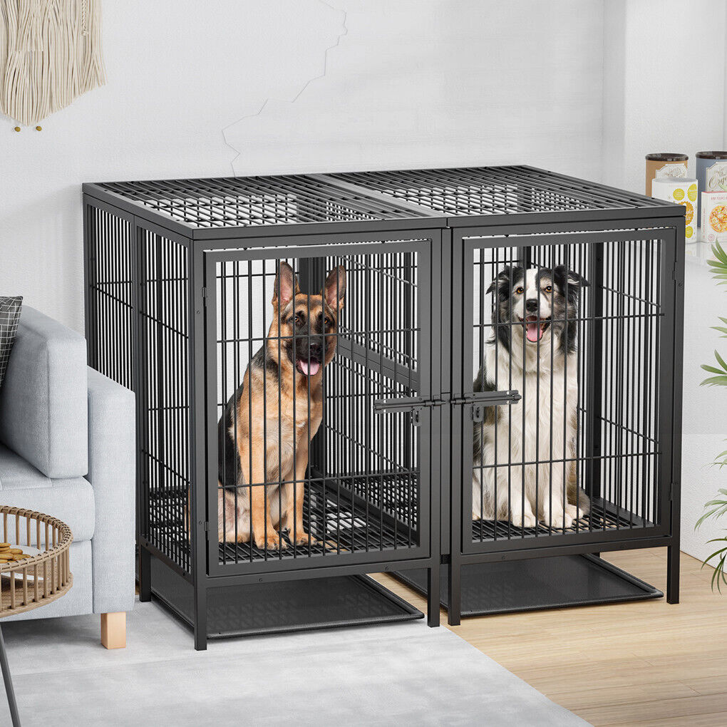LOVE OUR PETS