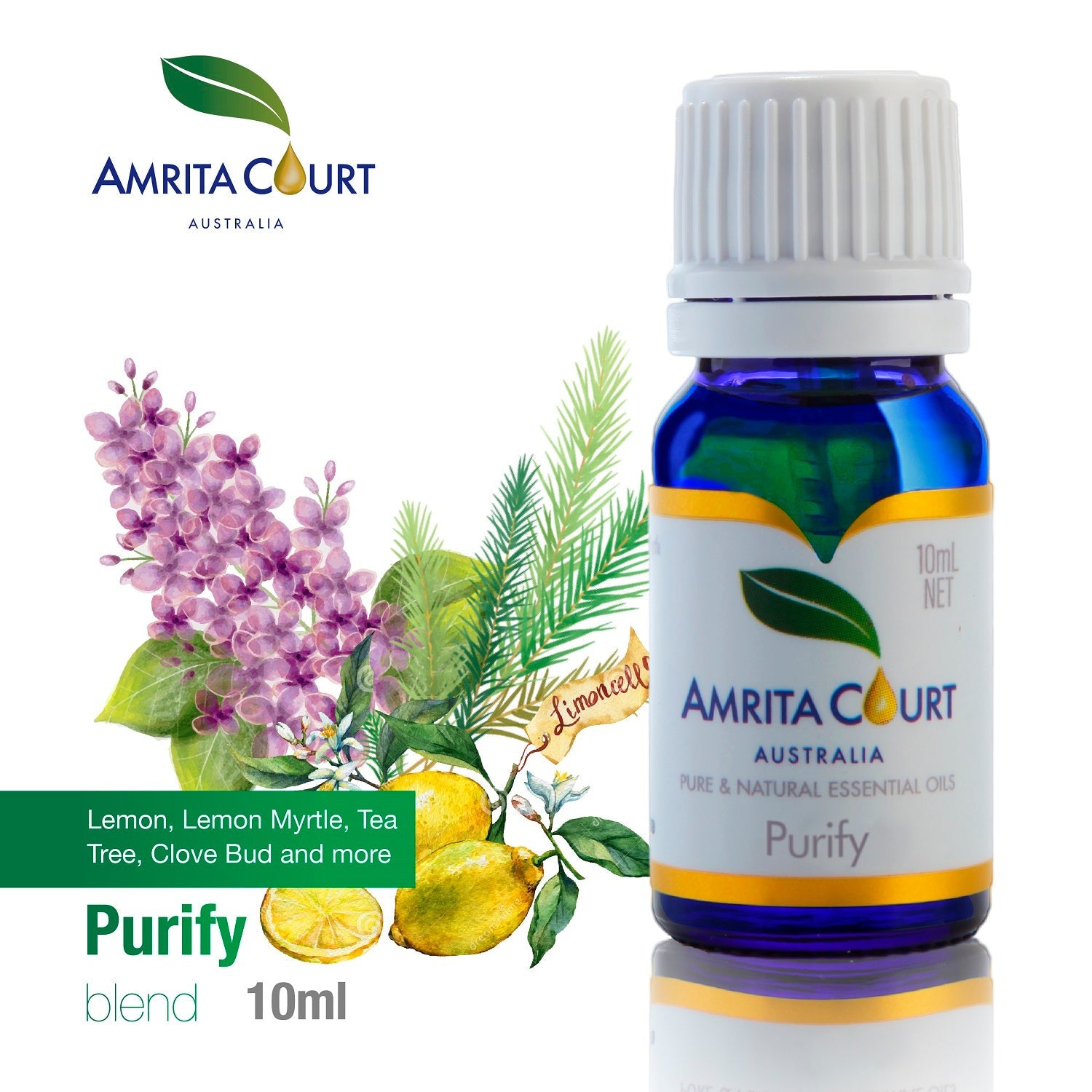 Gift Box - Aroma Necklace White Gold - Planet Plutonian Amethyst (Golden Purple) + Purify Oil Blend