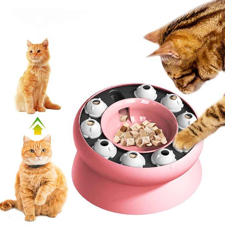 LOVE OUR PETS