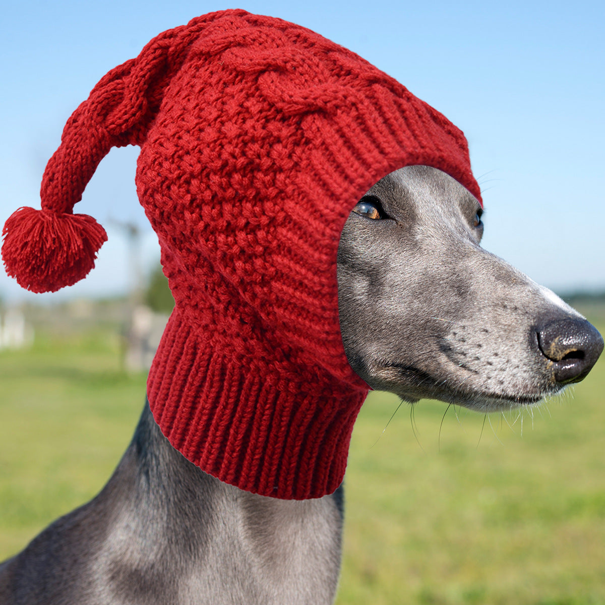 Size M Red Whimsical Knit Dog Hat with Pom-Pom - Cozy Winter Pet Beanie & Snood