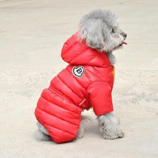LOVE OUR PETS