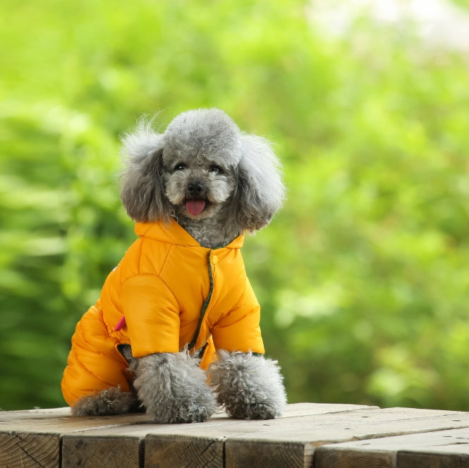 LOVE OUR PETS